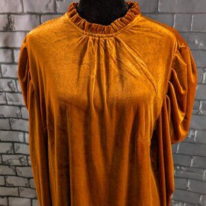 Rust Velvet Blouse with Long Puff Sleeves